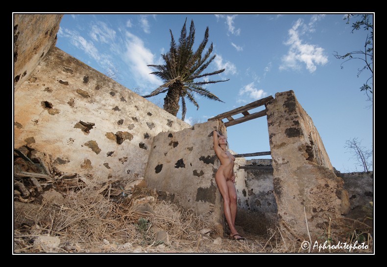 010 Le palmier de la ruine